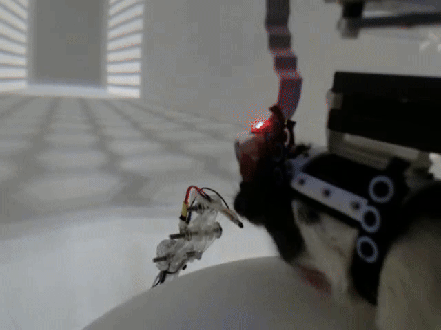 VR Learning Research Visualization