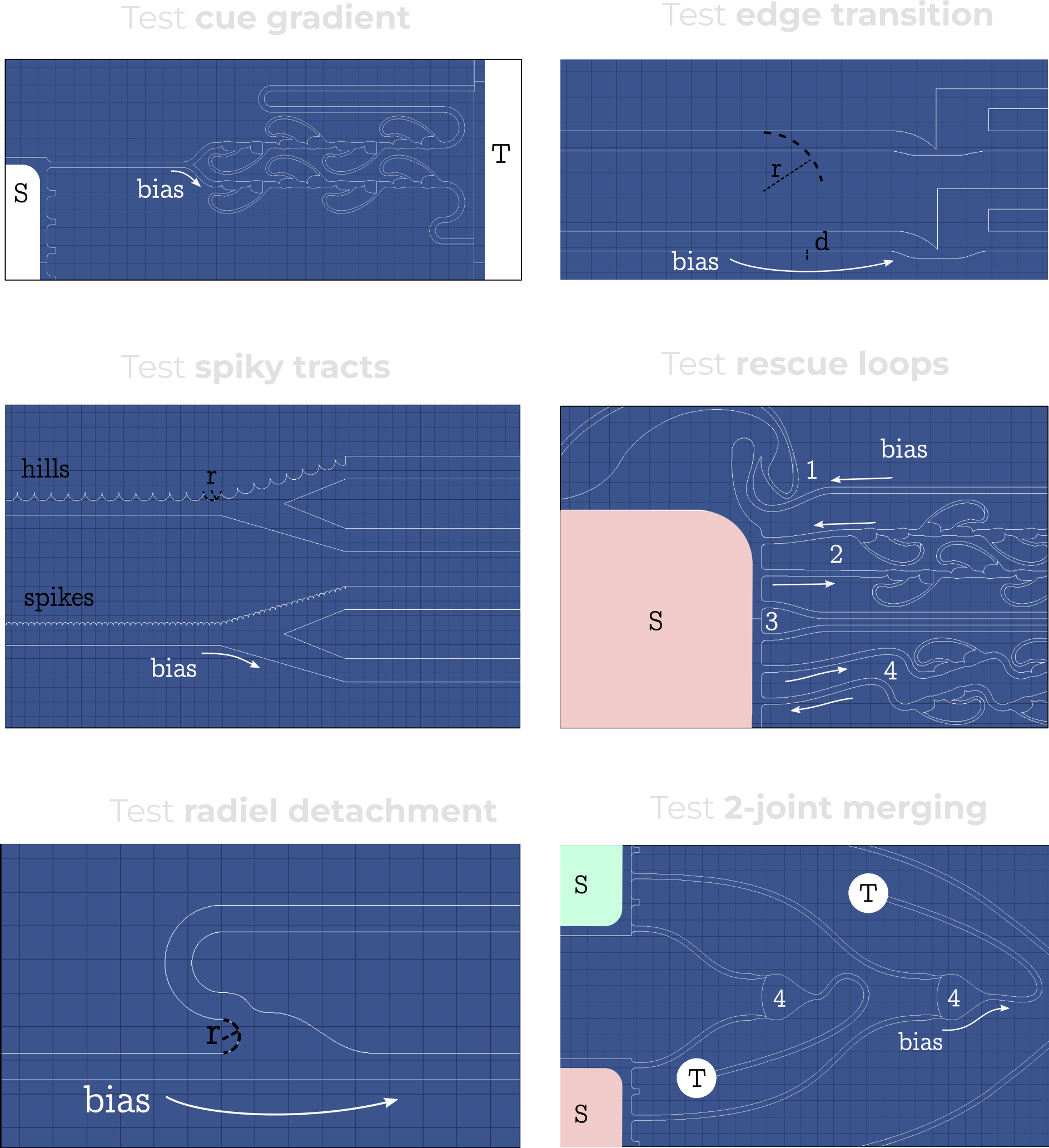 information flow asymmetry