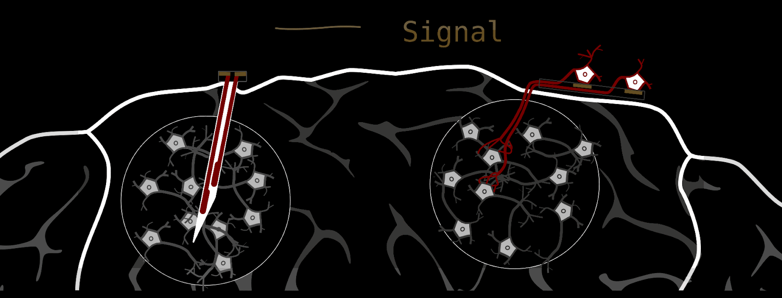 information flow asymmetry